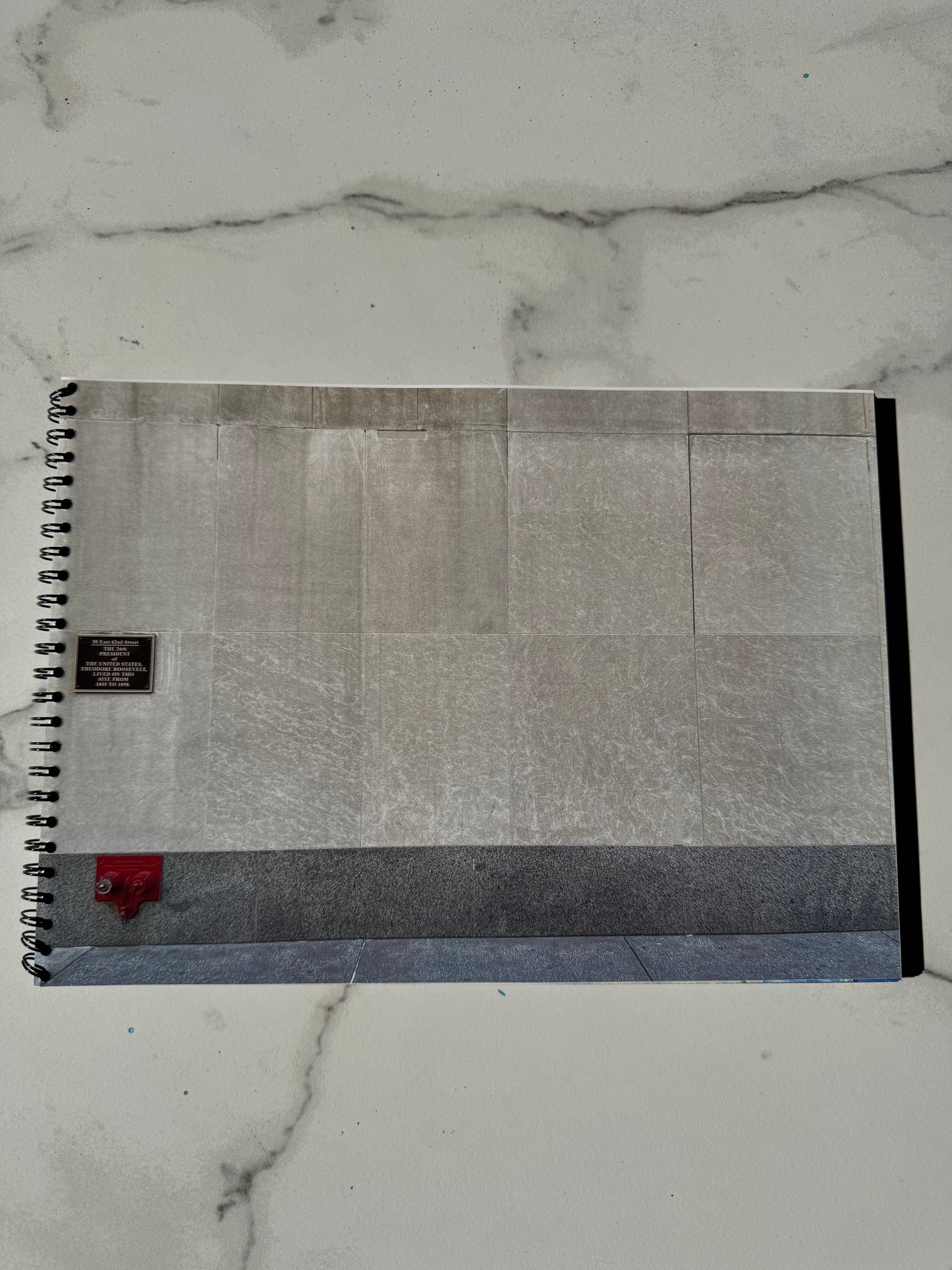 Bare "New York" Book